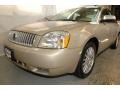 Light French Silk Metallic - Montego Premier AWD Photo No. 9