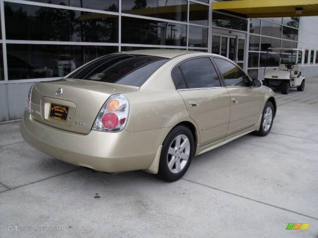 2003 Nissan altima car colors #9