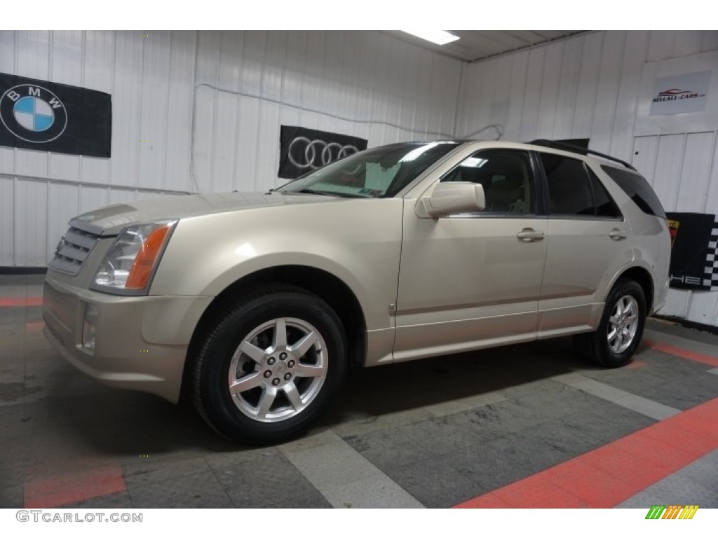 2007 SRX V6 - Gold Mist / Cashmere photo #2