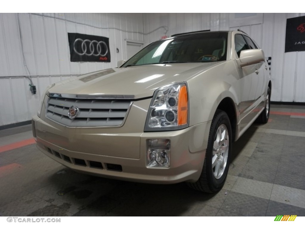 2007 SRX V6 - Gold Mist / Cashmere photo #3