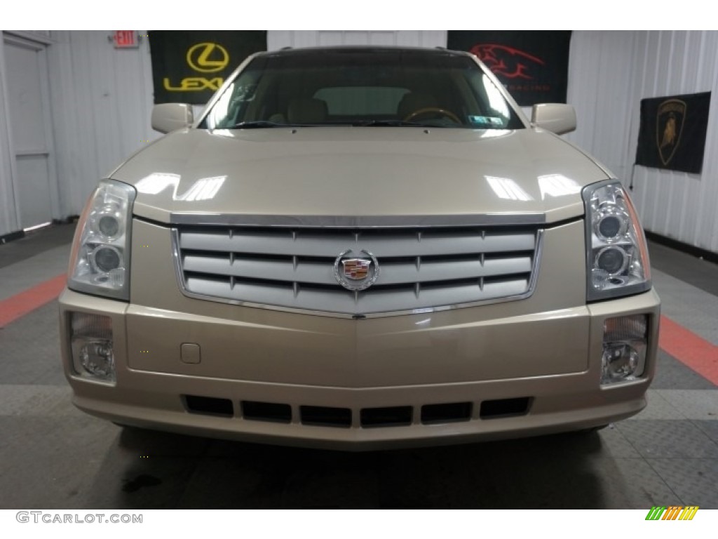 2007 SRX V6 - Gold Mist / Cashmere photo #4