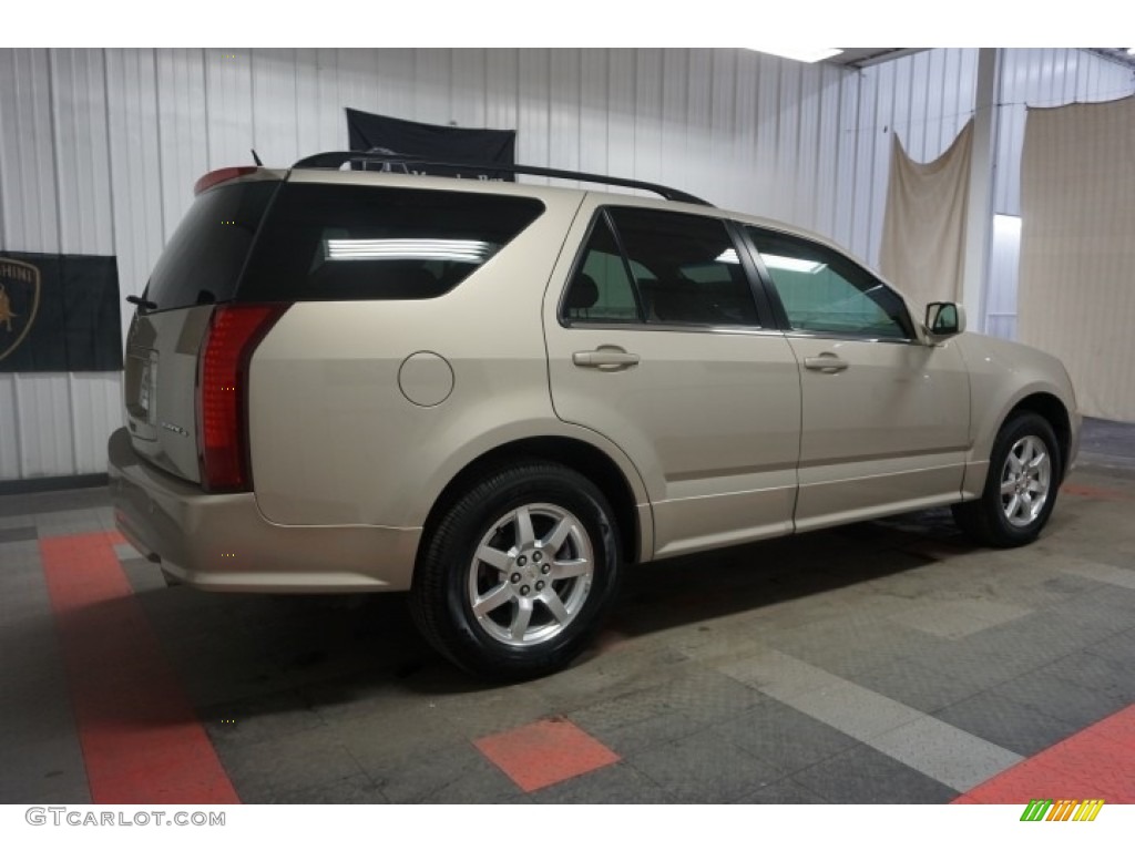 2007 SRX V6 - Gold Mist / Cashmere photo #7