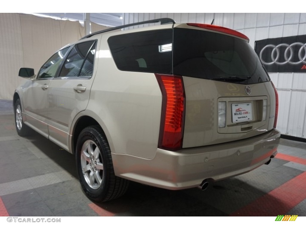 2007 SRX V6 - Gold Mist / Cashmere photo #10