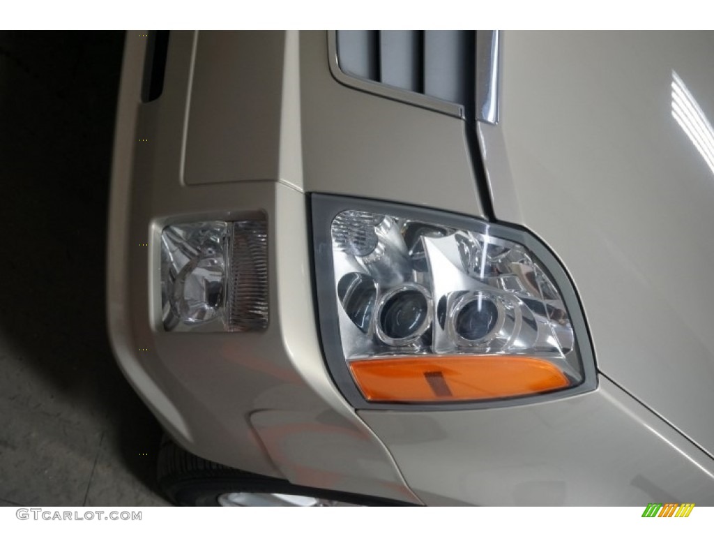2007 SRX V6 - Gold Mist / Cashmere photo #57
