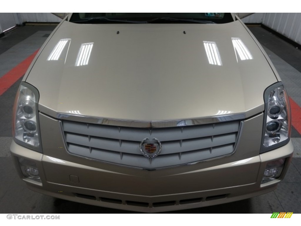 2007 SRX V6 - Gold Mist / Cashmere photo #60