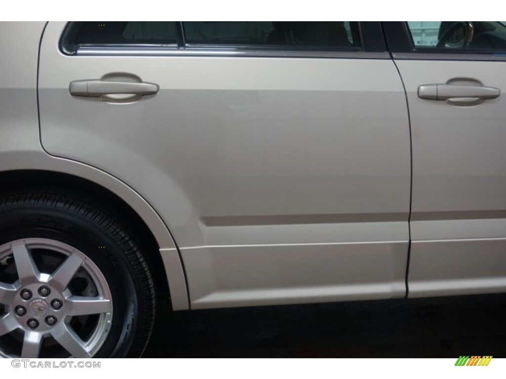 2007 SRX V6 - Gold Mist / Cashmere photo #67