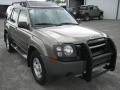 2004 Granite Metallic Nissan Xterra   photo #8