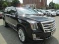 2016 Black Raven Cadillac Escalade ESV Platinum 4WD  photo #3