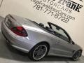 Pewter Metallic - SL 65 AMG Roadster Photo No. 12