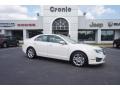 White Suede 2010 Ford Fusion SE