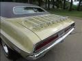 Light Gold Metallic - Challenger 2 Door Hardtop Photo No. 5