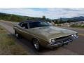 Light Gold Metallic - Challenger 2 Door Hardtop Photo No. 11