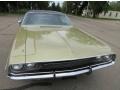 Light Gold Metallic - Challenger 2 Door Hardtop Photo No. 15