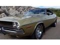 Light Gold Metallic - Challenger 2 Door Hardtop Photo No. 18