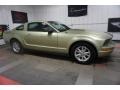 2006 Legend Lime Metallic Ford Mustang V6 Premium Coupe  photo #6