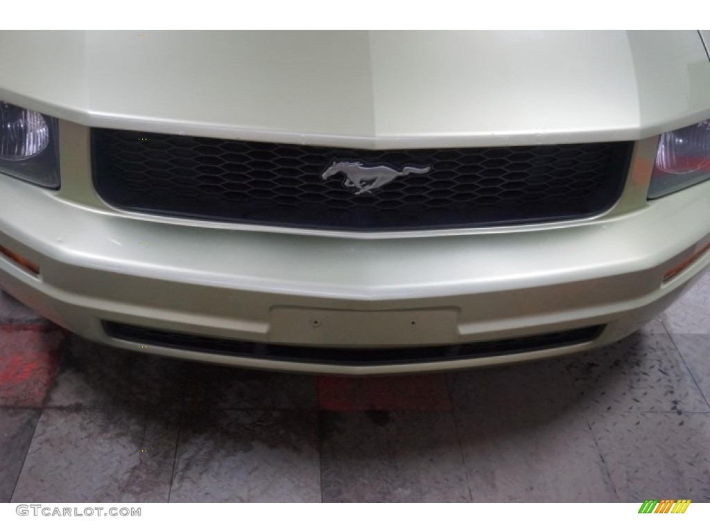 2006 Mustang V6 Premium Coupe - Legend Lime Metallic / Red/Dark Charcoal photo #44