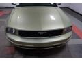 Legend Lime Metallic - Mustang V6 Premium Coupe Photo No. 45