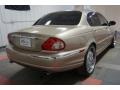 Topaz Metallic - X-Type 3.0 Photo No. 8
