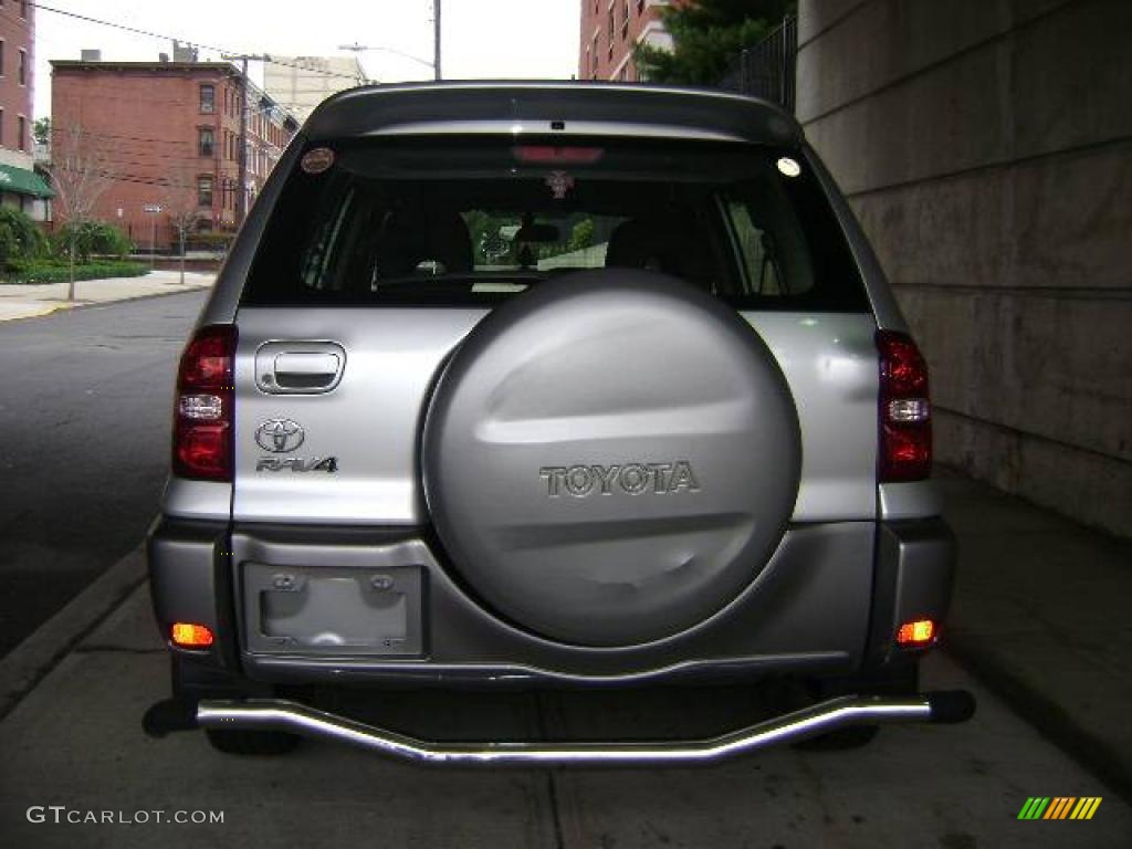 2004 RAV4  - Titanium Metallic / Dark Charcoal photo #4