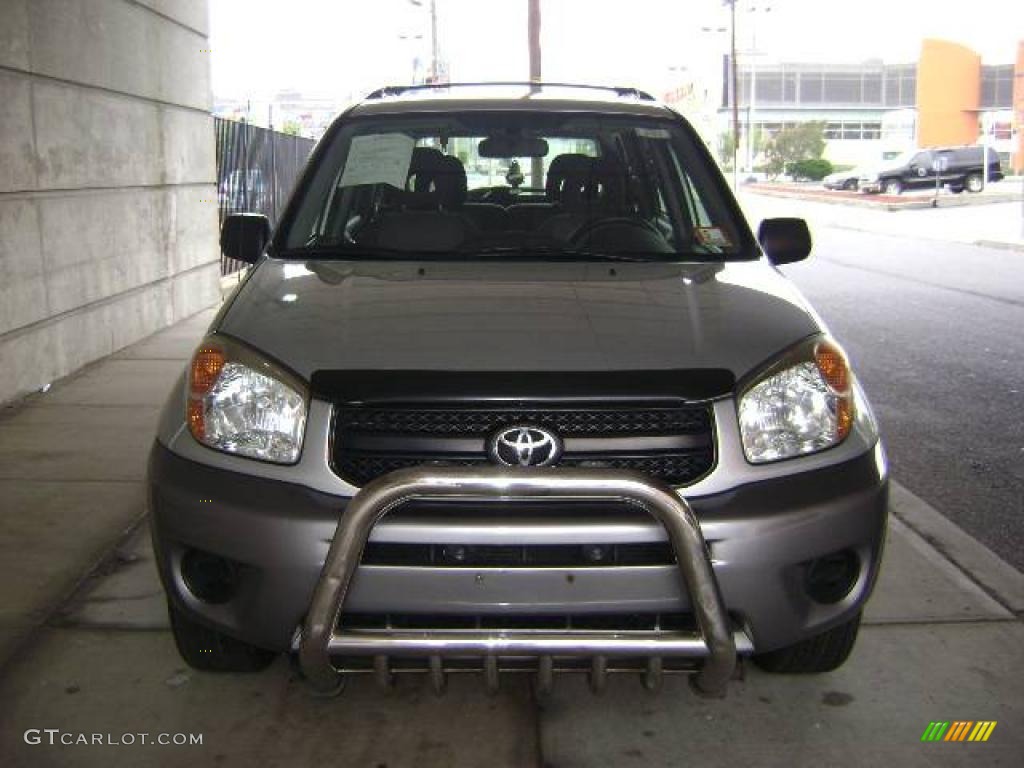 2004 RAV4  - Titanium Metallic / Dark Charcoal photo #6