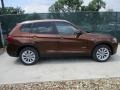 Chestnut Bronze Metallic - X3 xDrive28i Photo No. 2