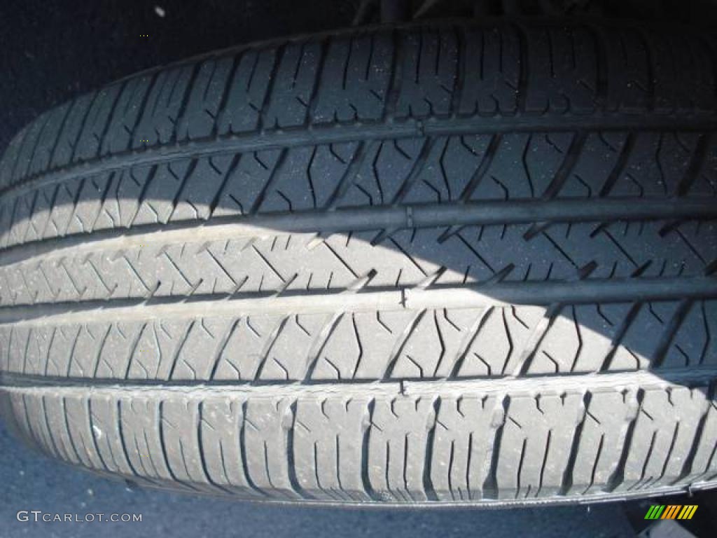 2004 Grand Marquis GS - Silver Birch Metallic / Light Flint photo #13