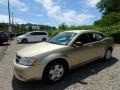 White Gold 2010 Dodge Avenger SXT