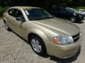 White Gold - Avenger SXT Photo No. 5