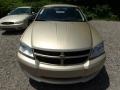 White Gold - Avenger SXT Photo No. 6