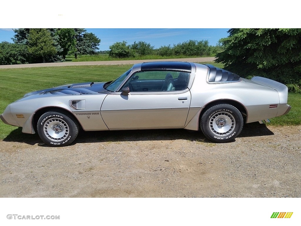 1979 Firebird 10th Anniversary Trans Am - 10th Anniversary Silver/Charcoal / Silver photo #2
