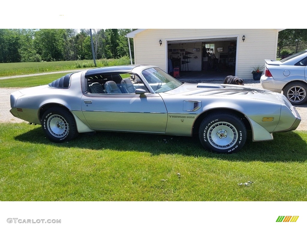 1979 Firebird 10th Anniversary Trans Am - 10th Anniversary Silver/Charcoal / Silver photo #4