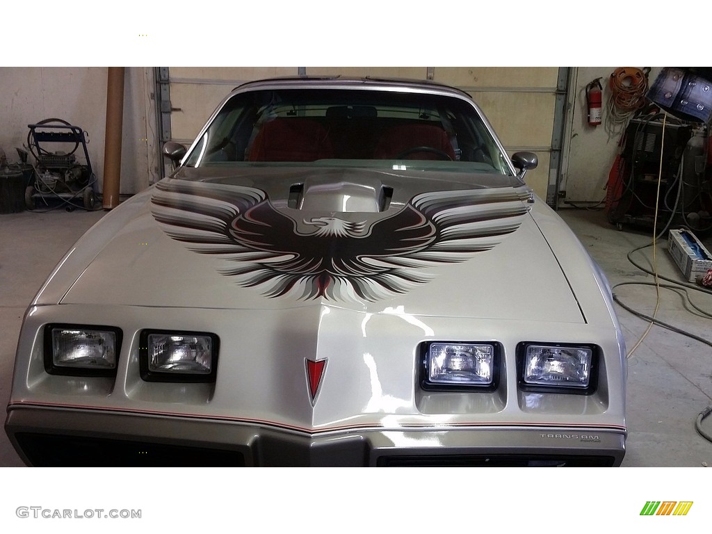 1979 Firebird 10th Anniversary Trans Am - 10th Anniversary Silver/Charcoal / Silver photo #5