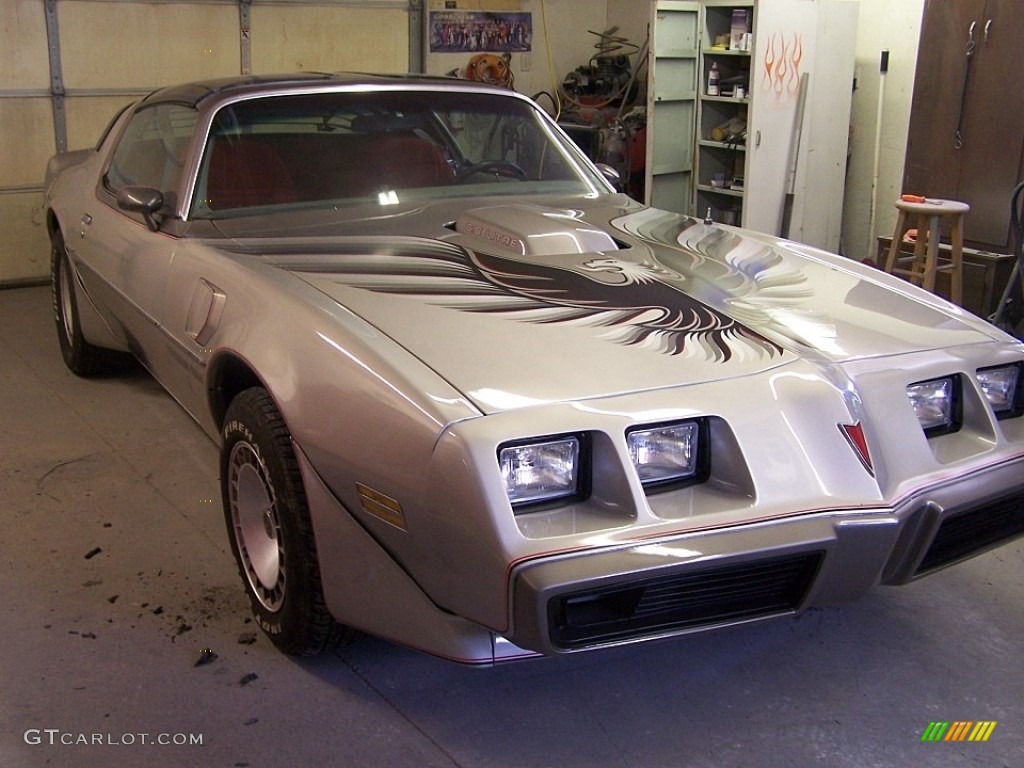 1979 Firebird 10th Anniversary Trans Am - 10th Anniversary Silver/Charcoal / Silver photo #6