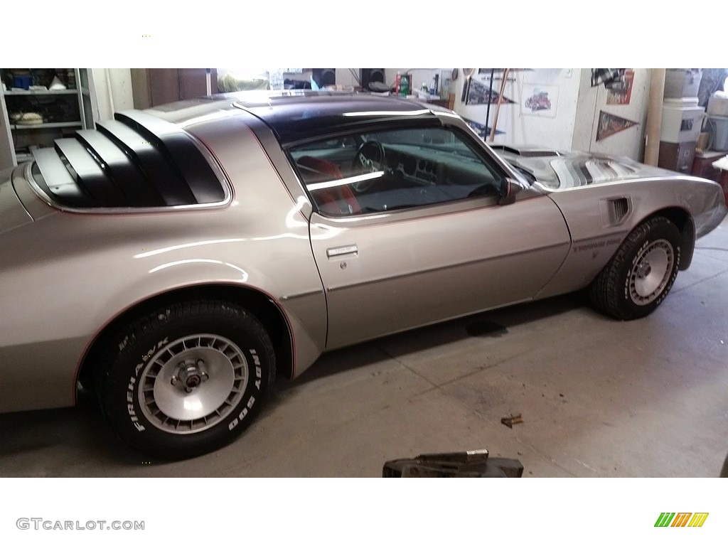 1979 Firebird 10th Anniversary Trans Am - 10th Anniversary Silver/Charcoal / Silver photo #7