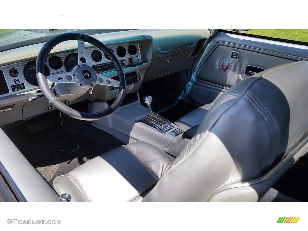 1979 Firebird 10th Anniversary Trans Am - 10th Anniversary Silver/Charcoal / Silver photo #8