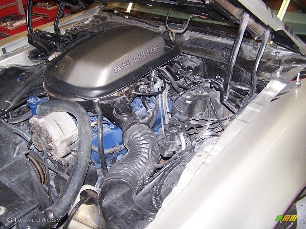 1979 Firebird 10th Anniversary Trans Am - 10th Anniversary Silver/Charcoal / Silver photo #10