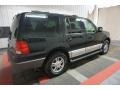 2003 Black Clearcoat Ford Expedition XLT 4x4  photo #7