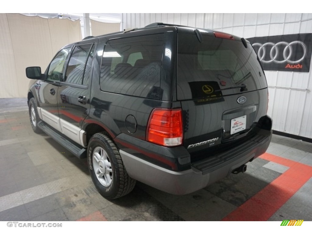 2003 Expedition XLT 4x4 - Black Clearcoat / Flint Grey photo #10