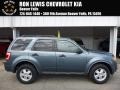 Steel Blue Metallic 2011 Ford Escape XLT