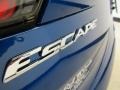 2017 Lightning Blue Ford Escape S  photo #30