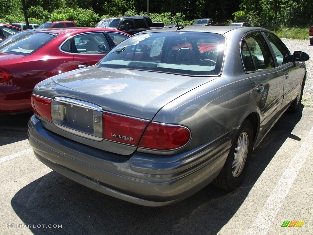 2005 LeSabre Custom - Platinum Metallic / Gray photo #4