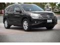 Crystal Black Pearl - CR-V EX-L Photo No. 1