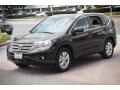 Crystal Black Pearl - CR-V EX-L Photo No. 8