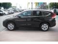 Crystal Black Pearl - CR-V EX-L Photo No. 9