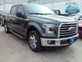 Magnetic - F150 XLT SuperCrew Photo No. 1