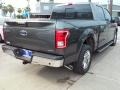 Magnetic - F150 XLT SuperCrew Photo No. 6