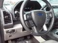 Magnetic - F150 XLT SuperCrew Photo No. 17
