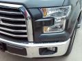 Magnetic - F150 XLT SuperCrew Photo No. 22