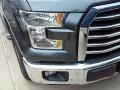Magnetic - F150 XLT SuperCrew Photo No. 23