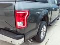 Magnetic - F150 XLT SuperCrew Photo No. 26